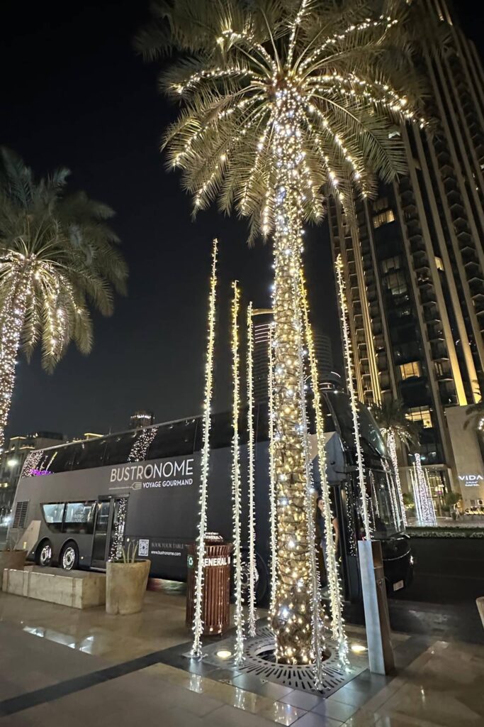 Bustronome Dubai (13)